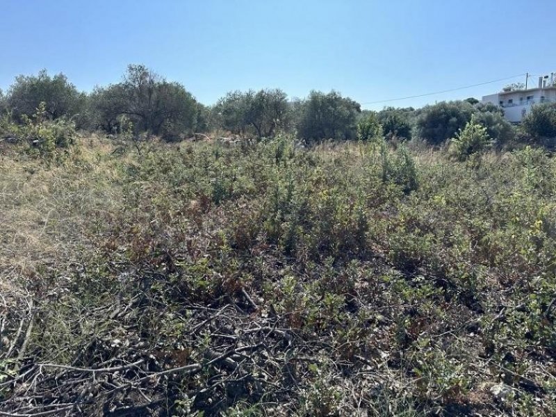 Gallos Kreta, Gallos: Erstklassiges Grundstück mit Meerblick zu verkaufen Grundstück kaufen